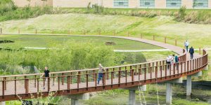 Tri-Faith Initiative Garden (Source: Tri-Faith Initiative)